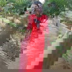 Lê Vân profile icon