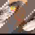 กะปิ ฯ. profile icon