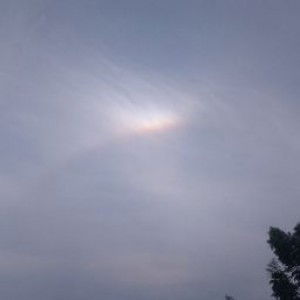 al farizki profile icon