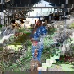 Areeya Areewong profile icon