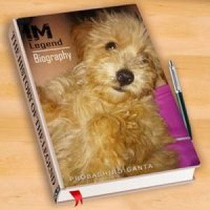 Merie Rose Abaner Calida profile icon