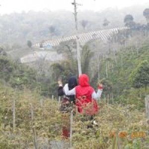 Nini Apriyani profile icon