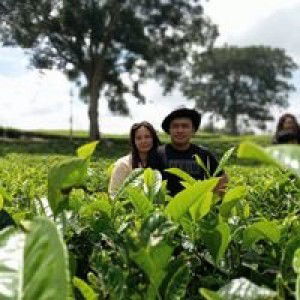 Wanti Silaban profile icon