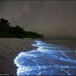 ทางเดิน ที่แสนไกล profile icon