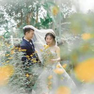 Hà Hí Hửng profile icon