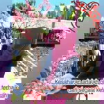 Dewi Putri Asy-Syafi'i profile icon