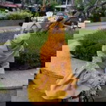 Ditiyah profile icon