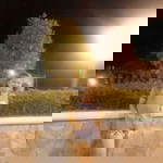 Federico Gerogo profile icon