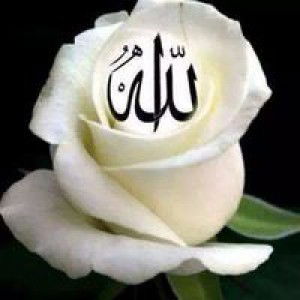 Misna Nyonya Yoffi profile icon