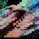 Seamz Putra Bungsu profile icon