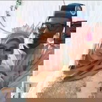 Nor Laila Shuhaida profile icon