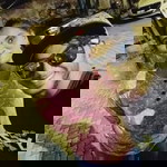 Kasthuri Kash profile icon