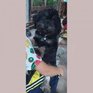 Wanida Popranom profile icon