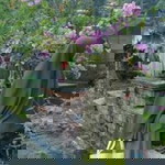 Tina Dulilah profile icon