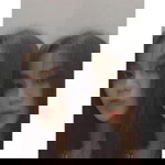 Andrea Carabeo profile icon