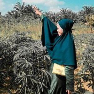 Muhammad Yusuf profile icon