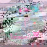 Kook Kumpliw profile icon