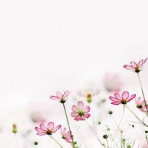 Nur Atiqah profile icon