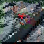 Dendi Marcel Rtf Colony profile icon