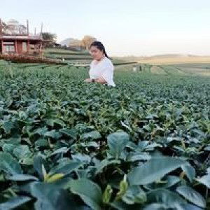 Sirinun Punyaboon profile icon