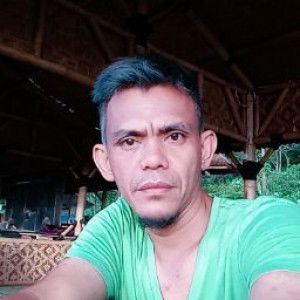 Tedi Suwandi profile icon