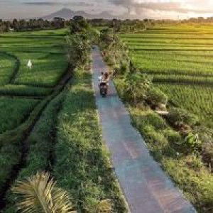 Naoj Antipuesto-Largosa profile icon