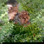 จังจี ยงเฮ้ง profile icon