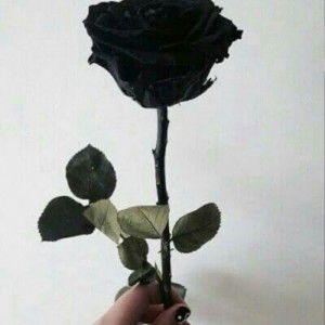 Ummu Maryam profile icon