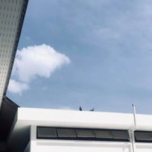 Gainie Saralee profile icon