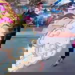 Pig Red profile icon