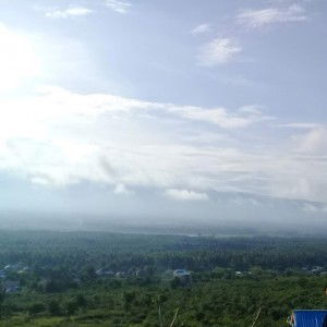 Azniar Arfi profile icon