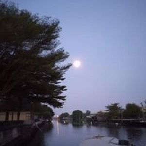 วีระสิทธิ์ เบญจวรรณ profile icon