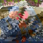 Nurmilayana profile icon