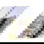 Ig Meealonelyy profile icon