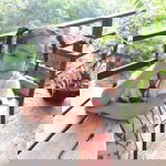 Ann Monta profile icon