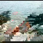 Keyla Zantick profile icon