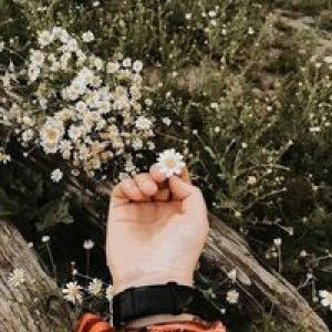 Hana Wardatul Ma'wa profile icon