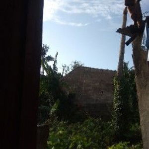 Iztye Tagor profile icon