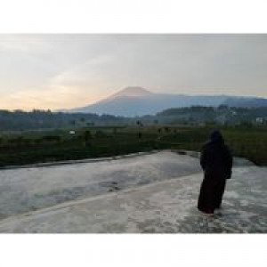 Lya Endah Mulyani profile icon