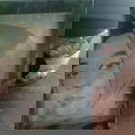 lidia nova profile icon