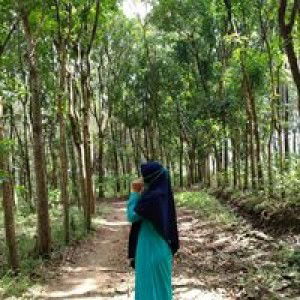 Dini Octasari profile icon