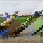 Hafizah Zaini profile icon