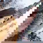 Kanchana Dullyaphan profile icon