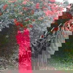 Nila Wulandari profile icon