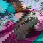 Yunia Sari profile icon