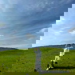 Marwah Ahmad profile icon