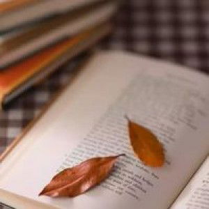 Alfi Fadhila profile icon