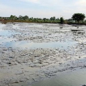 Miss Lifa' s room profile icon