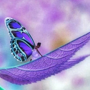 Cik Olen profile icon