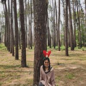 Sky Story profile icon